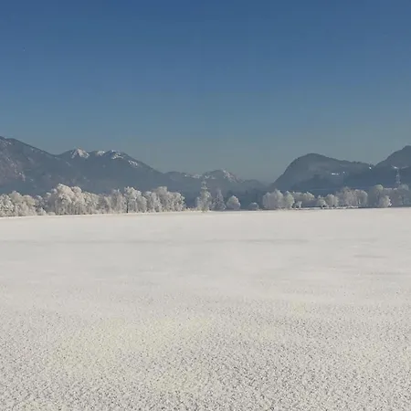 Lägenhet Wildauer *